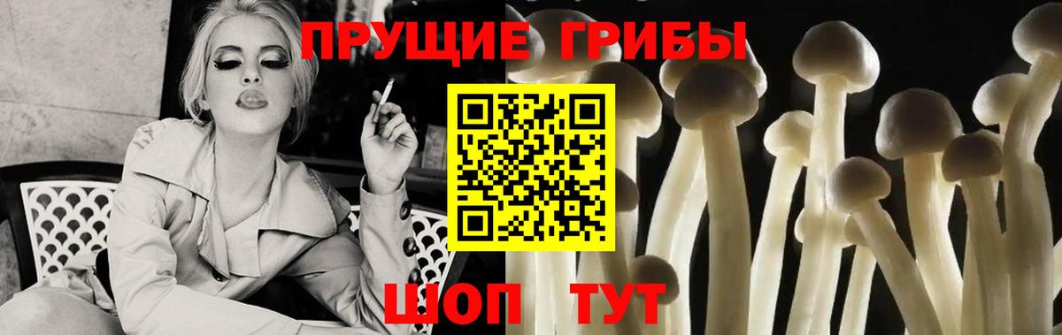 Южно-Сахалинск  Галлюциногенные грибы Psilocybine cubensis  Вход с VPN 